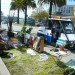 Rebar, rebar interview Green Design, Goats, Grazing, Urban Planning, Parklet, San Francisco, Public Space