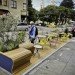 Rebar, rebar interview Green Design, Goats, Grazing, Urban Planning, Parklet, San Francisco, Public Space
