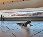 Interpretive Facility at Red Rocks Canyon Responds to the Untouched Side of Las Vegas