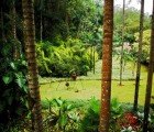 Inhotim Art Park Blossoms Inside a Brazilian Botanical Garden