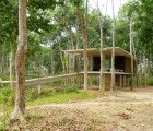 Nishorgo Oirabot Nature Centre in Bangladesh is Pierced by Trees