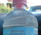 New Study Links In Utero BPA Exposure To Breast Cancer