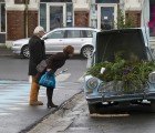 Greenhamar: Eco Oasis Pops up in a Public Square in Hamar, Norway