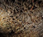Archaeologists Discover Prehistoric Finger Paintings in France