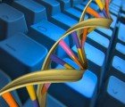 Scientists Build Digital Devices Out of Bacteria and DNA