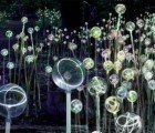 Dazzling Light Installation by Bruce Munro Set to Sprout at Longwood Gardens