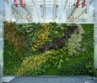 Habitat Horticulture Living Walls Create Healthy, Vibrant, Energy-Efficient Interiors