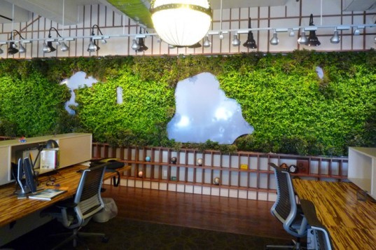 LTL Architects Central Park Living Wall,LTL Architects, Central Park Living Wall, green wall, living walls, green design, green interiors, leed office, open planning project