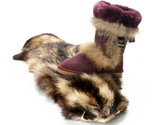 raccoon dog uggs raccoon dogs, UGG, UGG boots, China, animal cruelty, eco-fashion, sustainable fashion, green fashion, ethical fashion, sustainable style, counterfeit goods