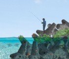 SeArc Reintroduces Marine Life in Coastal Cities with ECOncrete