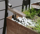American Society of Landscape Architects Highlights 479 Green Infrastructure Projects