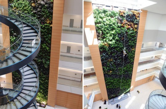 Drexel BioWall by Parker Urban Greenscapes largest biowall in the united states, parker urban greenscapes, green design, sustainable design, green wall, vertical garden, bio wall, green building, drexel university, papadakis integrated sciences building, drexel biowall