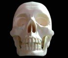 3D Printed Bones Are Saving a UK Hospital Thousands in Fees