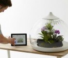 Biome is a Smart Living Flora Terrarium You Nurture With Your iPad