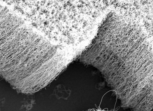 carbon nanotubes, carbon pollution, nanotube pollution, nanotube technology, algae pollution, good algae, beneficial algae, pollution, water pollution