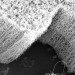carbon nanotubes, carbon pollution, nanotube pollution, nanotube technology, algae pollution, good algae, beneficial algae, pollution, water pollution