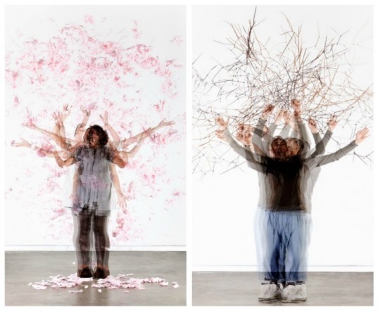 temporary trees, raw color mkgk, transformation trees, dutch design week, make a forest, photography trees