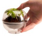 Biodegradable Pod Garden Makes Planting Fresh Herbs a Snap