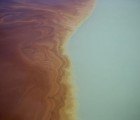 Chevron Takes the Blame for Recent Oil Spill in Brazil