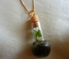 DIY: How to Make an Enchanting Terrarium Necklace to Keep or Give as a Gift!