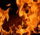 Scientists Develop Nontoxic Flame-Resistant Fabric From Renewable Ingredients