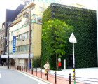 PHOTOS: Striking Japanese Bike Parking Lot is Completely Overgrown with Green Ivy
