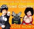 Last Chance to Vote: Inhabitots’ Green Halloween Costume Contest Ends TONIGHT!