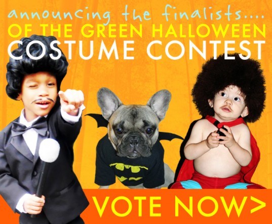 costume contest, diy halloween costume, Do-It-Yourself Halloween Costume, eco costumes, eco halloween, eco halloween costume, green costumes, green halloween, Green Halloween Costume Contest, halloween costume contest, handmade halloween costume, homemade halloween costume, Inhabitots 2011 Green Halloween Costume Contest, organic halloween costume
