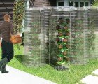 Rainwater Harvesting PET-Tree System Makes Urban Gardening a Breeze