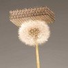 Scientists Develop World’s Lightest Metal, 100x Lighter than Styrofoam