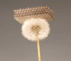 Scientists Develop World’s Lightest Metal, 100x Lighter than Styrofoam