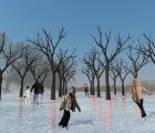 Winter Garden Lets Winnipeggers Skate Through An Artificial Tree Grove on a Frozen River