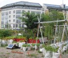 Mobile Urban Agriculture Blooms in Berlin’s Prinzessinnengarten