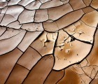 Could Climate Change Benefit Agricultural Growth?