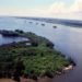 Vibrio fischeri, edith widder Vibrio fischeri, edith widder ocean explorer, Indian River Lagoon, edith widder Bioluminescence Bacteria, edith widder indian river lagoon, indian river lagoon pollution, Bioluminescence Bacteria indian river lagoon, edith widder Bioluminescence Bacteria, edith widder,