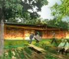NYIT Students Redesign a Failing Waste Management Unit for a Costa Rican Community