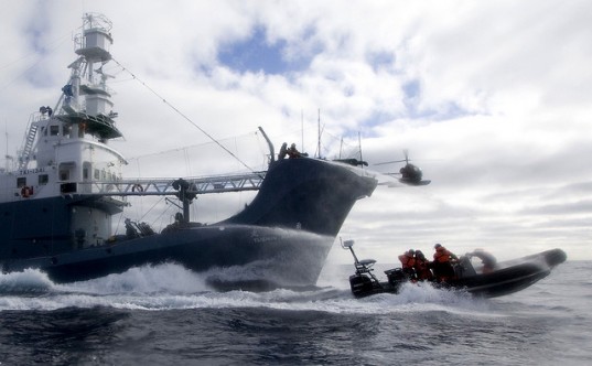 The Sea Shepherd Conservation Society, Sea Shepherd, Sea Shepherd whaling fleet, Sea Shepherd drone, Sea Shepherd whales, Sea Shepherd whale japan, Sea Shepherd steve irwin, Sea Shepherd drone steve irwin, Sea Shepherd southern ocean, Sea Shepherd whales factory ship, Sea Shepherd hansen, Sea Shepherd drone hunt