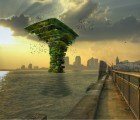 Waterstudio.nl’s Sea Tree is a Protected Floating Habitat for Flora & Fauna