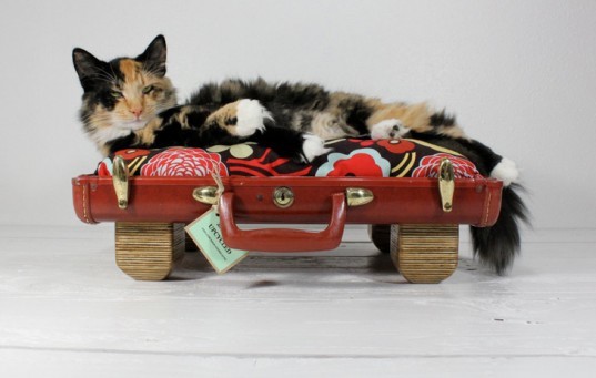 green design, eco design, sustainable design, etsy, upcycled suitcases, recycled suitcases, upcycled pet beds, samonsite