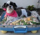 Keep Your Kitty Cozy in These Upcycled Vintage Suitcase Beds