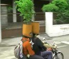 VIDEO: Artists Outfit Scooter Riders in Indonesia With Planted Bike Helmets for a Treebute