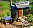 Awesome Best Hut Treehouse in New Zealand Has a Remote-Controlled Drawbridge