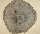 Bryan Nash Gill Creates Amazingly Intricate Tree Prints By Hand