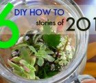Top 6 Green DIY How-To’s of 2011 – Vote for Your Favorite!