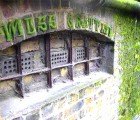 DIY: How to Make Your Own Green Moss Graffiti!