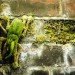 Stories from Space, Moss Graffiti, moss, garden moss, gardening, green design, sustainable design, green graffiti, eco-design, vertical garden, outdoors, plants, botanical