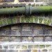 Stories from Space, Moss Graffiti, moss, garden moss, gardening, green design, sustainable design, green graffiti, eco-design, vertical garden, outdoors, plants, botanical