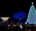 GE to Illuminate the National Christmas Tree With Amazing LED Lights Today!