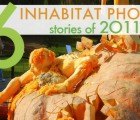 Top 6 Original Photo Stories of 2011 – Vote For Your Favorite!