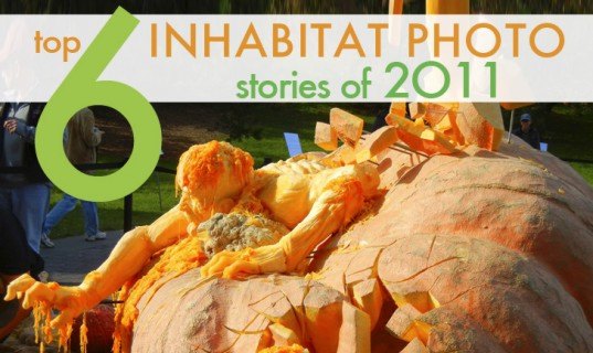 inhabitat original photography, inhabitat photos, top photo stories 2011, best of 2011, inhabitat's best of 2011, photo stories, green design, sustainable design